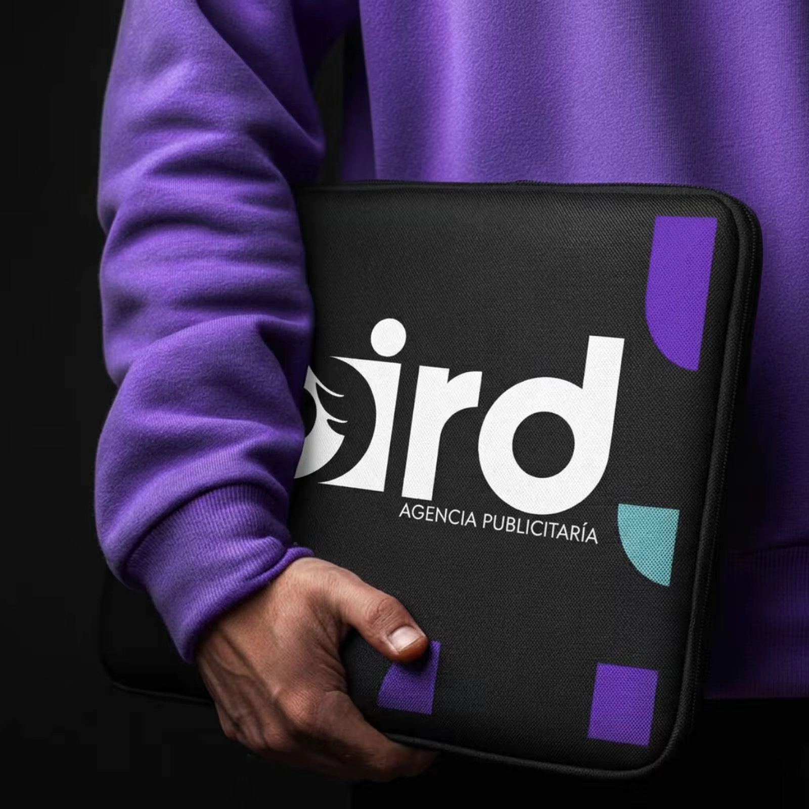 Proyecto Bird