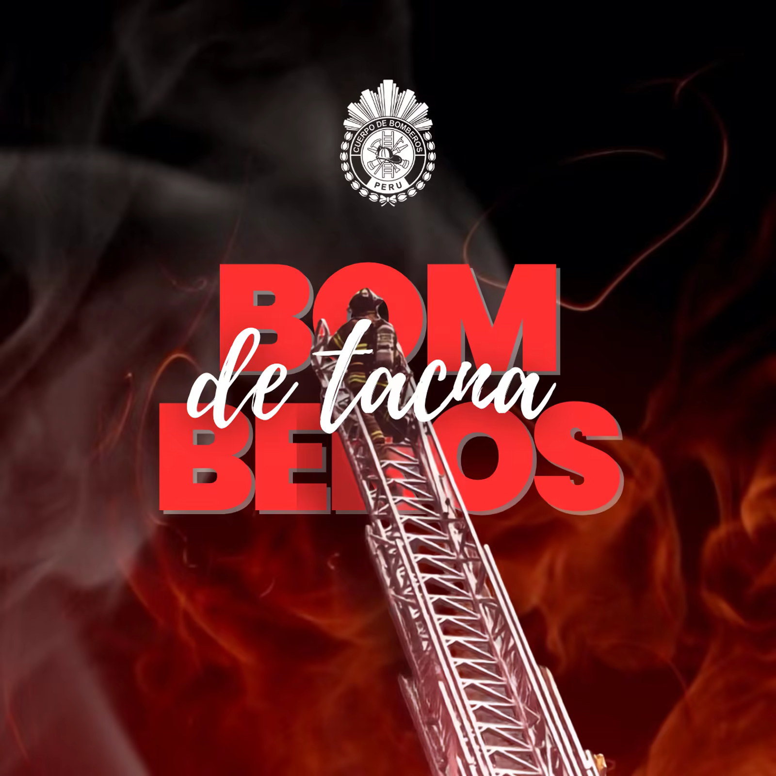 Proyecto Bomberos Tacna